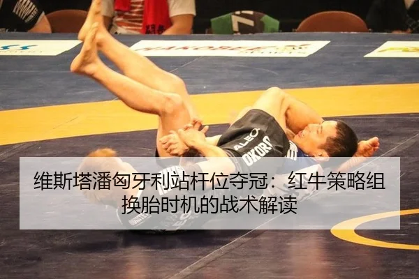 wei-si-ta-pan-xiong-ya-li-zhan-gan-wei-duo-guan-hong-niu-ce-lve-zu-huan-tai-shi-ji-de-zhan-shu-jie-du-3-198.jpg